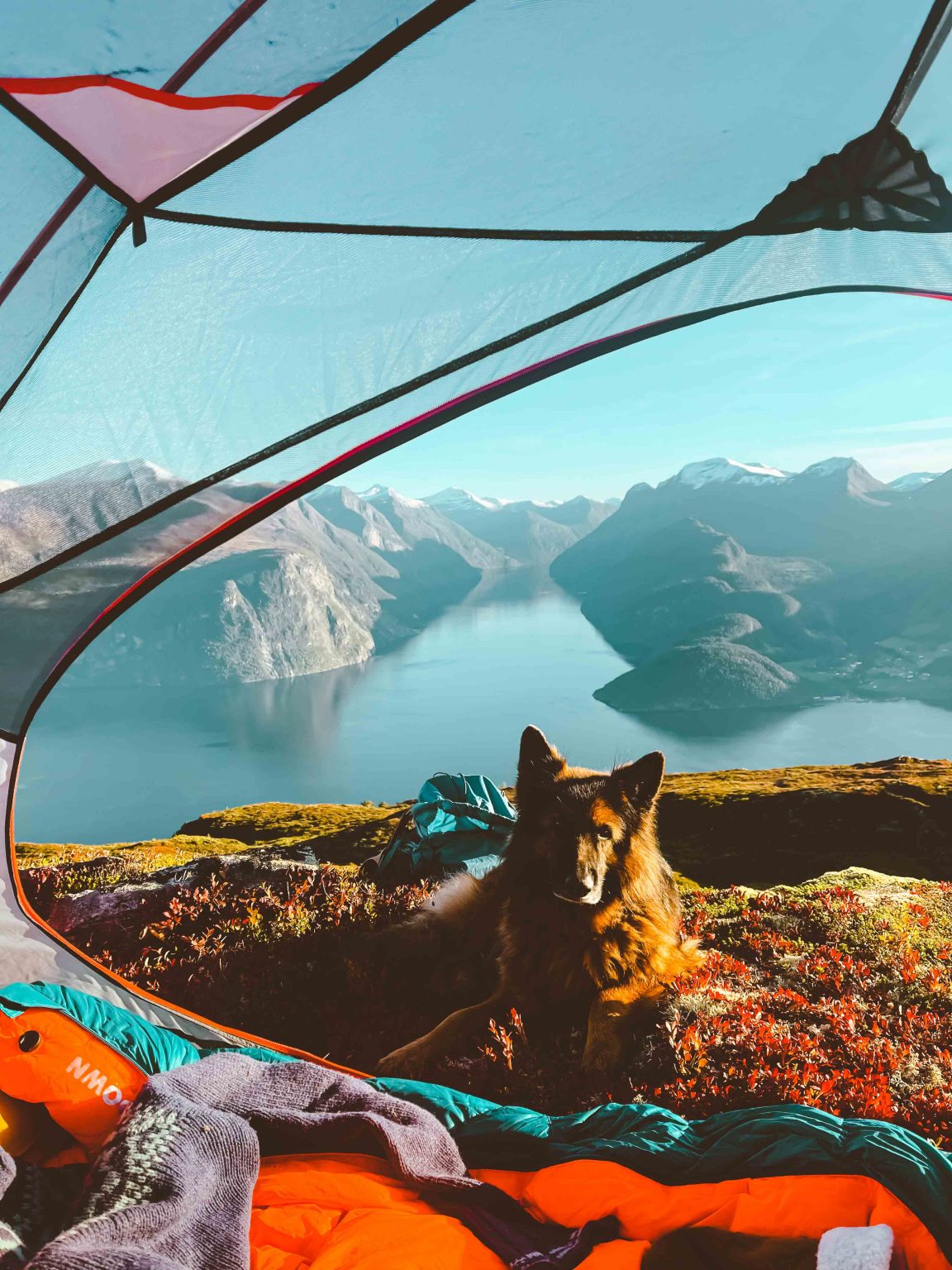 Utsikt til Sunnmørsalpene og Sunnylsvfjorden fra telt på Ansokhornet